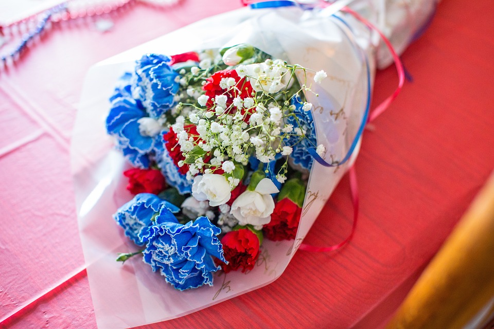 Plavi i crveni prvomajski karanfili u Umagu